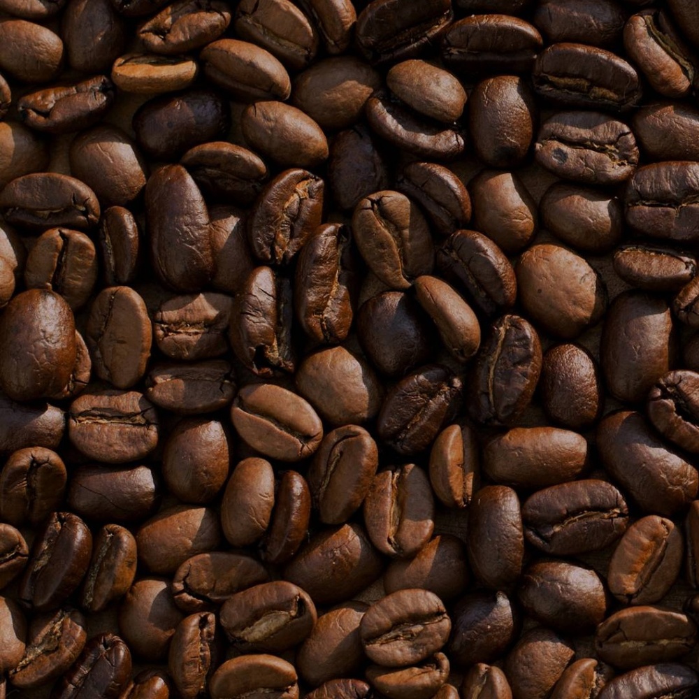 Meet your Posher, Jose